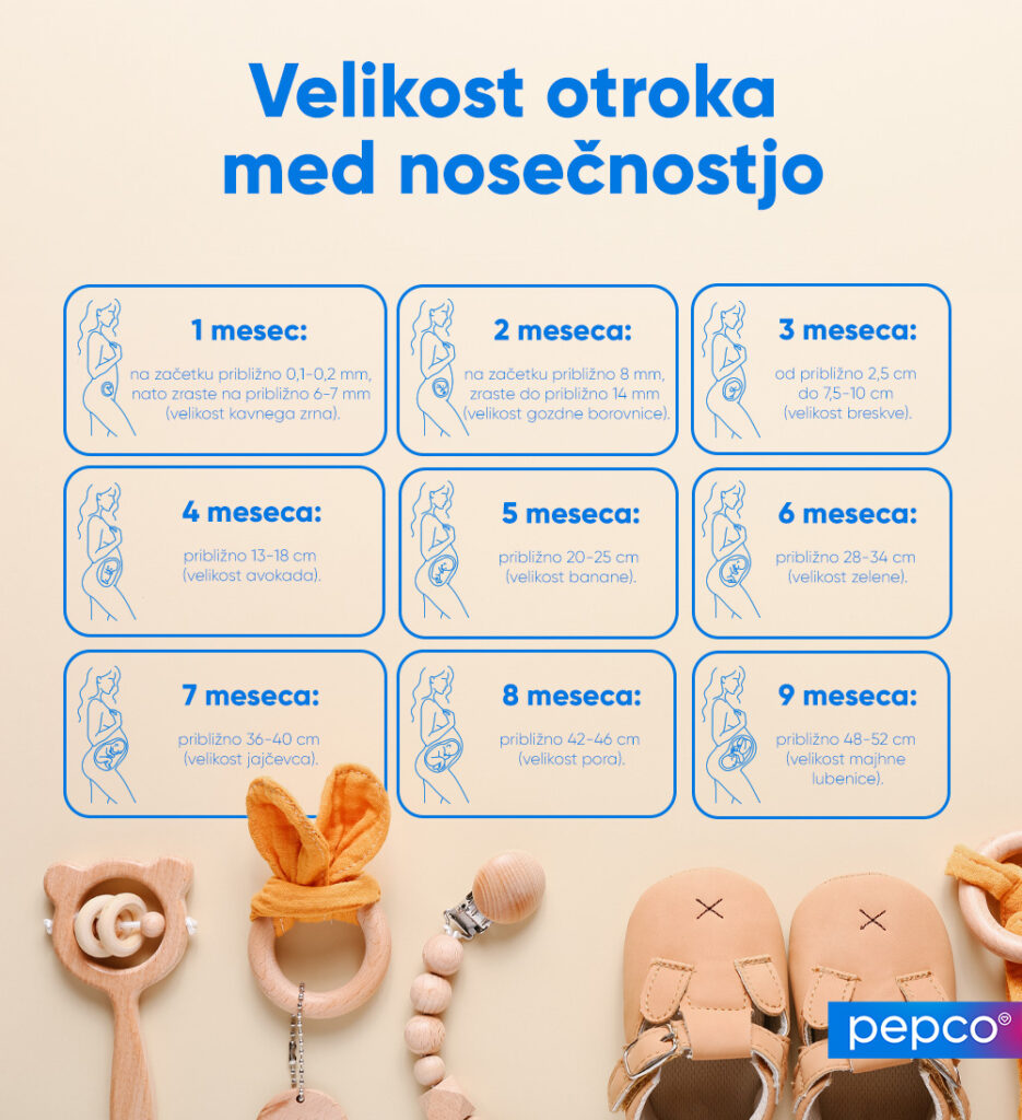 Infografika Pepco o velikosti otroka po mesecih nosečnosti